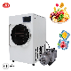 Home Freeze Dried Food Vacuum Lyophilizer Price Fruit Mini Vegetable Freeze Drying Machine Freeze Dryer with CE Proved