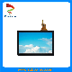 10.1 Inch 1280*800 Lvds Interface IPS LCD Touch Screen Module