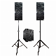 Professional Audio 2000W 18" Subwoofer Bt Karaoke Sets Powered 2.1 Channel Wireless PA Speaker System+Array Line Bocina Parlante