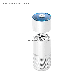 Ultraviolet Disinfection Negative Ions Activated Carbon Filter Humidification Two-in-One UV Vehicle Anion Air Purifier