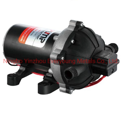 1/2" NPT Thread 20L/Min Plastic Micro Diaphragm Pump DC 12V 24V Chemical Agriculture Sprayer Pump 60psi Mini Electric High Pressure Water Pump