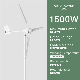 Smaraad 1.5kw 2kw 48V Wind Power Horizontal Nylon Fiber Blades Wind Turbine for Small Home