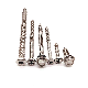 DIN7981 Stainless Steel Self Tapping Screw