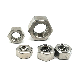  M20 SS304 Stainless Steel A2-70 DIN934 Coarse Thread/Fine Pitch Thread Hex Nut Hexagon Nut