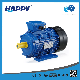 China Zhejiang 380V Electric Asynchronous 3 Phase Motor (MS) manufacturer