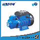  Happy Small Qb60 Surface 0.5HP Water Pump Specifications (QB60)