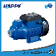  Manufacturer Single-Stage Electric Vortex Water Pump Pkm