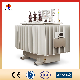 S12 Oil-Immersed Distribution Power Transformer with Customized Service