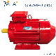  IE3 Premium Efficiency AC  Industrial Electric/Electrical Induction Asynchronous Motor with CE