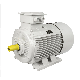  Chinese Ie2 Ie3 Ye2 Ye3 Yb3 Ybx3 Y2 Y Ms Yc Yl Ml Yy Premium High Efficient AC Induction Asynchronous Three Phase Explosion-Proof Flame Proof Electric Motor