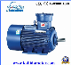 Three Phase AC Explosion-Proof Asynchronous Electric Motor with Ce