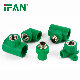  Ifan OEM Quality PPR Pipe Fitting All Types Green Plumbing Materials