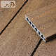 Hot Sale Wooden Flooring Wood Plastic Composite WPC Decking for Swimming Pool