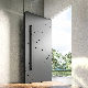 Custom Size Housing Stainless Steel Pivot Entrance Door Price