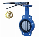  Lever Handle Ductile Iron Body CF8 Disc EPDM Seat Wafer Butterfly Valve