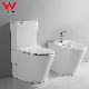 Two Piece Sanitary Ware Back to Wall Floor Mounted Bidet Complete Toilet