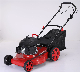  Farm Mower 20inch Self-Propelled Petrol Hand Push Lawnmower Garden Grass Cutter Gasoline Lawn Mower