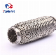  China Auto Exhaust Parts Flexible Pipe for Generator