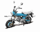 Gasoline Electric Motorcycle Dax 50cc Euro4