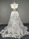 9003 Deep V Neckline Tulle Lace Wedding Dress with 70 Inch Train Mermaid Skirt Ivory