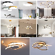 Modern LED Ceiling Lighting Surface Mounted LED Lamp Suspension Ceiling Light