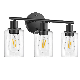 Modern Black 3-Light Bathroom Light Fixtures Vanity Glass Wall Lamp