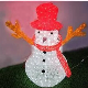 Holiday Christmas LED Motif Light