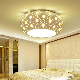 Modern Fashion Decoration LED Ceiling Lamp for Bedroom