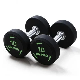 Free Weights Custom Wholesale Sport Goods Body Building Round Dumbbell Weightlifting Gym Fitness Equipiment PU Dumbbell