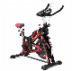 New Body Building Fitness Magnetic Exercise Spinning Gym Home Spin Bike