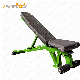 Strength Fitness Body Building Equipment Home Gym Multi Adjustable Bench