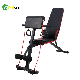 Factory Price Adjustable Foldable Dumbbell Weight Bench for Workout