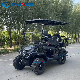  2023 New Model AC Motor 6 Seats Electric Hunting Buggy Golf Cart