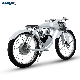  City Bike Munro 26 Inch 48V Motor Power Frame Battery Steel Material Electric Bicycle