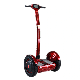 2020 Coolwheel A6 Self Balancing Electric Chariot Scooter with Handle Charger