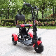  Greenpedel 36V 250W Foldable Electric Trike Scooter for Elders