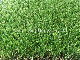 Coastal Types of Synthetic Turf/Artificial Turf/Fake Grass on Concrete Around Pools