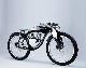  High Quality 2 Wheel Retro 500W Fat Tire Electric Bike with LCD Display