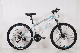 26 Alloy Mountain Bicycle Bicicleta W/Shimano 21 Sp Disc Brake Bike