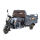  1000W Heavy Loading Electric Tricycle