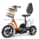 Popular 48V500W Electric Tricycle Three Wheel Electric Mobility Scooter