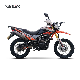 2023 Sonlink 200cc 250cc Pocket Bike