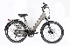  High Quality Lady Man City Pedelec E-Bicycle