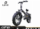 Giorrad Folding Electric Mountain Bike Bicycle Motorcycle Bicycle ODM/OEM in Stock Ebike