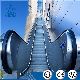  22m High Quality Cost Escalators Public China Handrail Electric Escalator