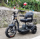 Differential Motor Power Big Seat Mobility Electric Trike Scooter