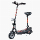  Big Power E-Scooter 250W with Seat Two Wheel Adult Electric Scooter