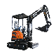 Ce EPA Approved Popular Mini Excavator China Shanding SD20u 2tons