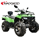 Chinese New EEC 350cc 4X4 Four Wheeler 110cc 125cc 150cc 250cc 300cc 400cc 1000cc Dump ATV Quad Bike Beach Motorcycle Dune Buggy Atvs on Cheap Factory Price