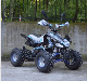 Mini Kids ATV 110cc Engine Quad Bike for Sale